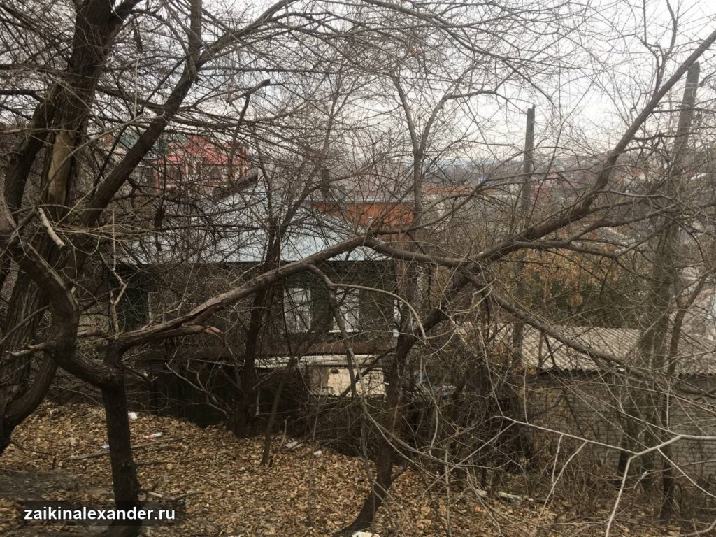 Двор за ветвями деревьев