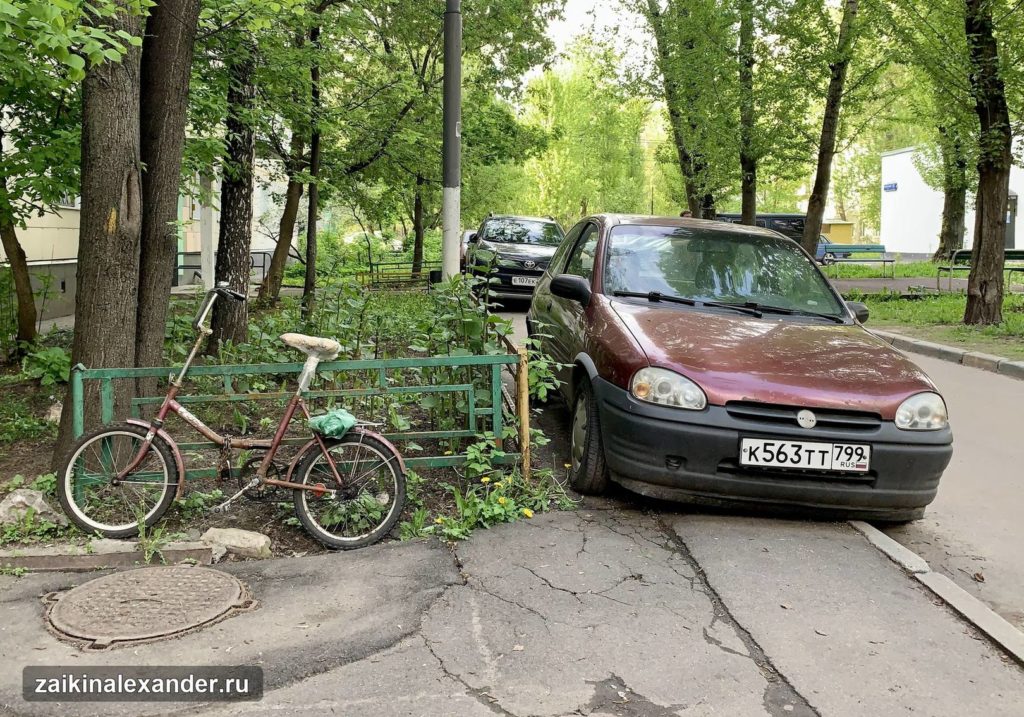 Терлецкий лесопарк в Москве — кадр 1