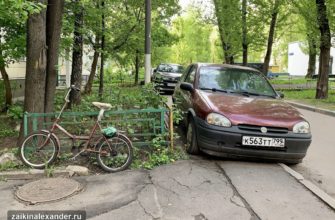 Терлецкий лесопарк в Москве — кадр 1