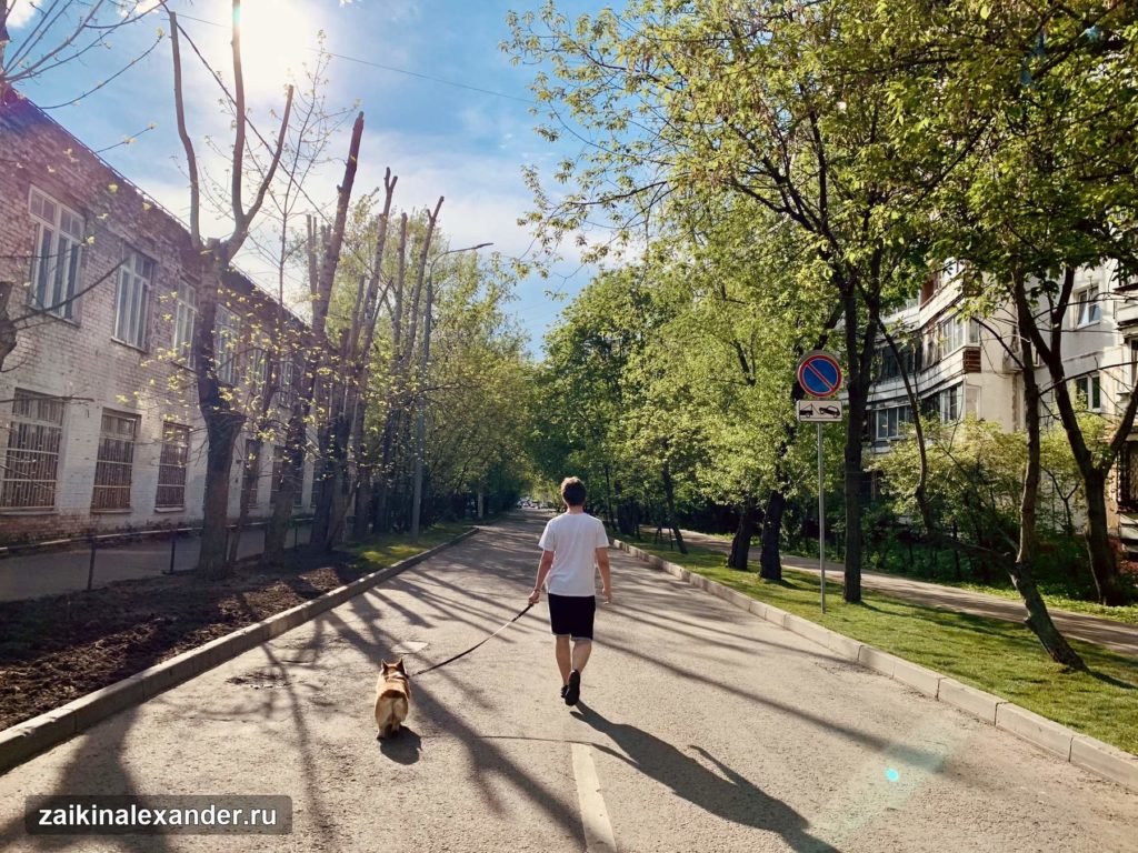 Терлецкий лесопарк в Москве — кадр 2