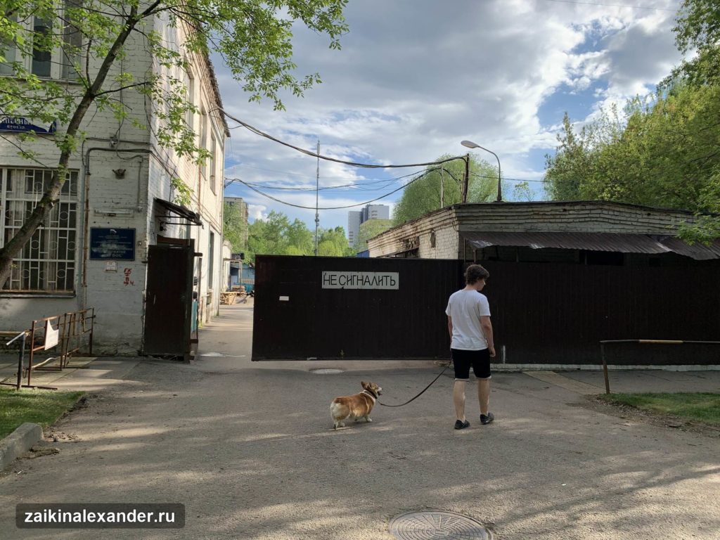 Терлецкий лесопарк в Москве — кадр 3