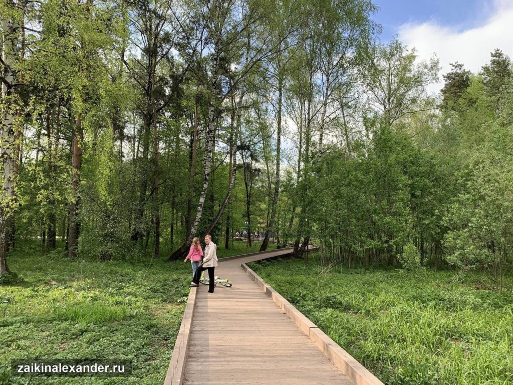 Терлецкий лесопарк в Москве — кадр 5