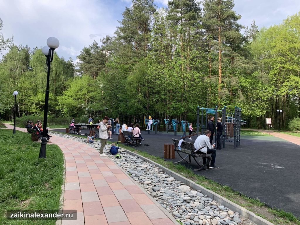 Терлецкий лесопарк в Москве — кадр 7