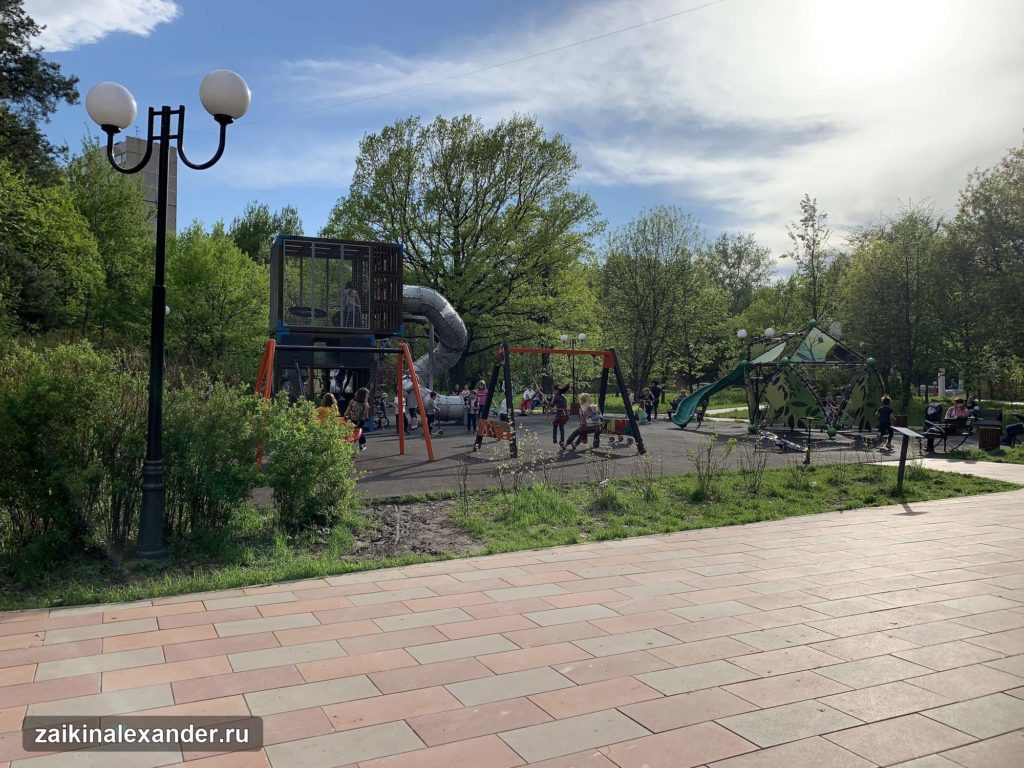 Терлецкий лесопарк в Москве — кадр 8