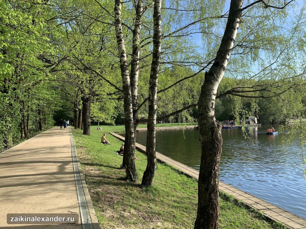 Терлецкий лесопарк в Москве — кадр 15