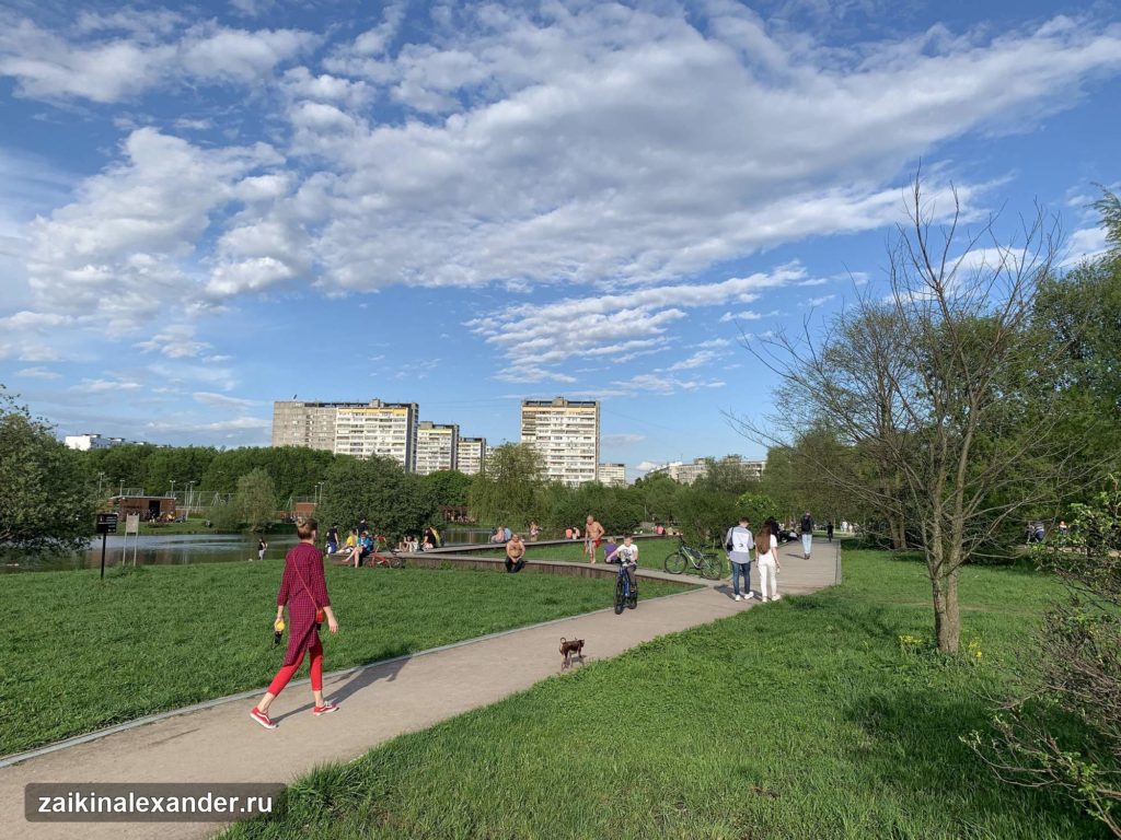 Терлецкий лесопарк в Москве — кадр 21