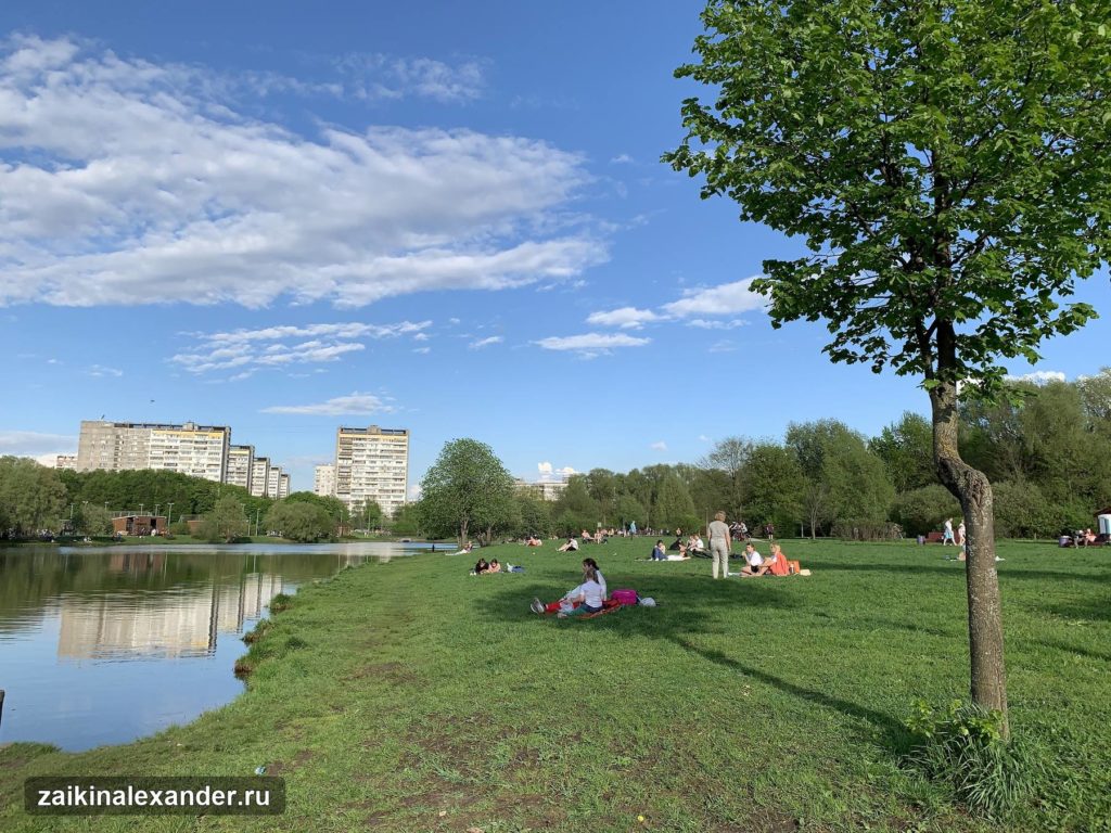 Терлецкий лесопарк в Москве — кадр 24