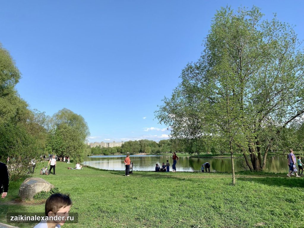 Терлецкий лесопарк в Москве — кадр 29