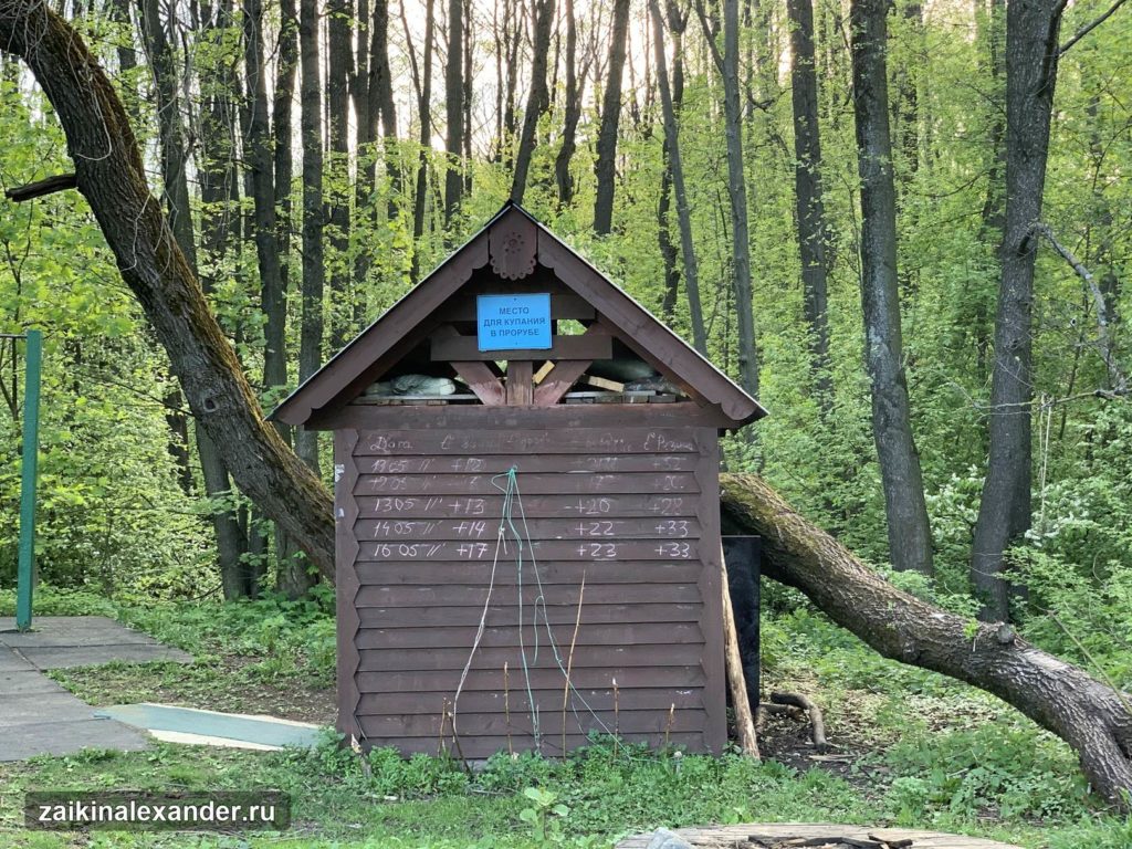 Терлецкий лесопарк в Москве — кадр 37