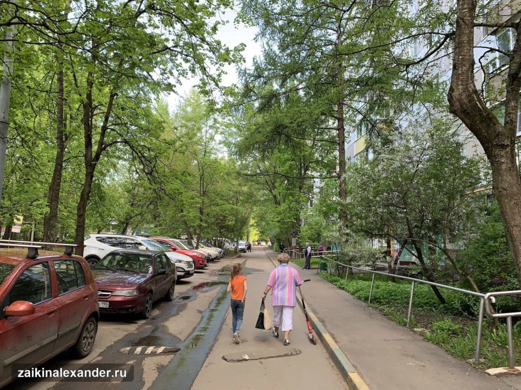 Терлецкий лесопарк в Москве — кадр 49