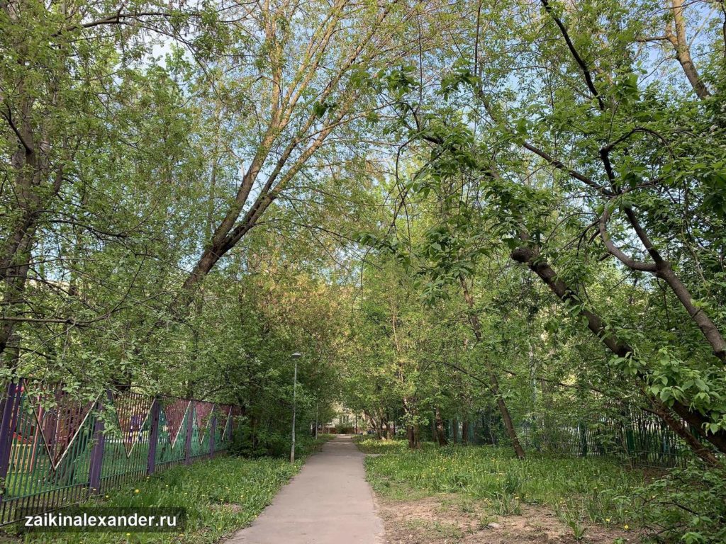 Терлецкий лесопарк в Москве — кадр 50