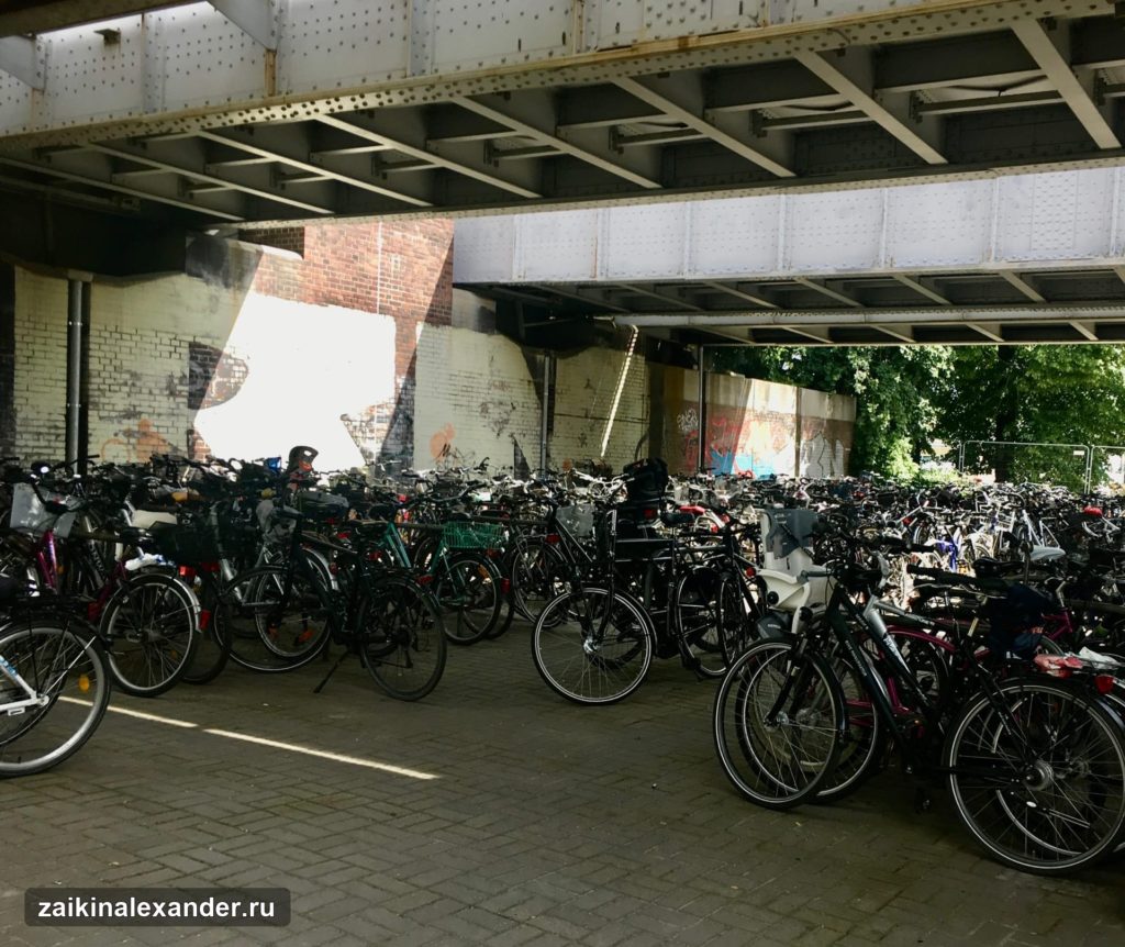 В пригороде Берлина — кадр 3