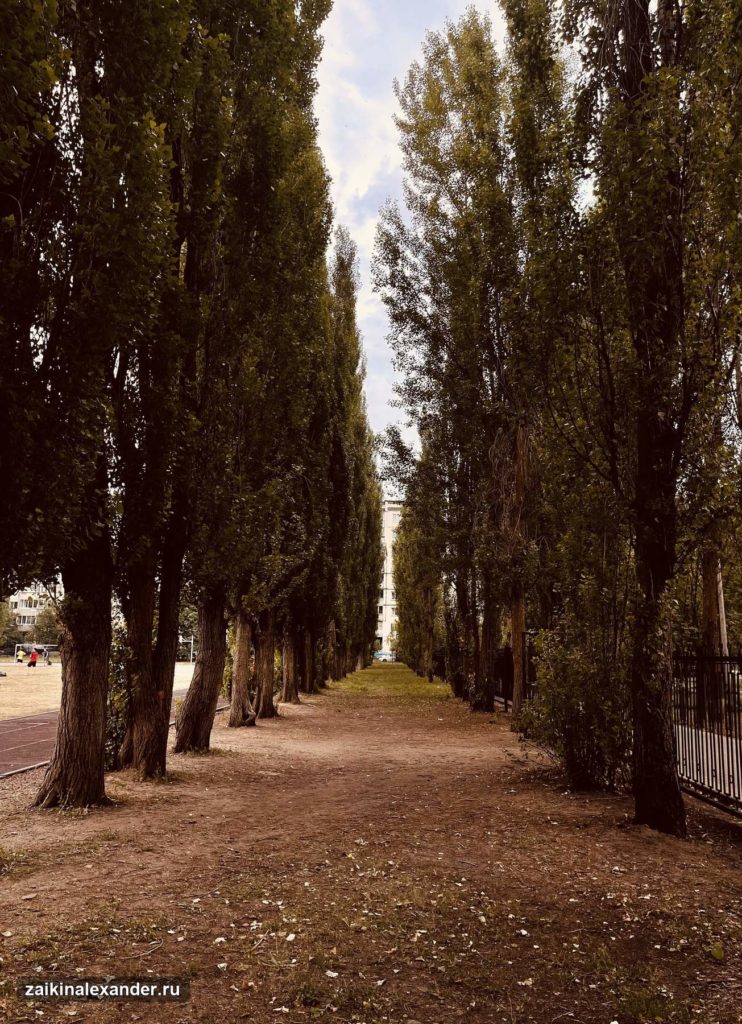 Городские фотографии — 4 августа 2021 года — кадр 10