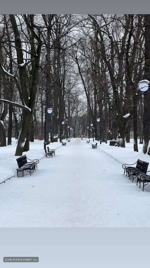 Прогулка по Санкт-Петербургу — февраль 2022 года — кадр 16