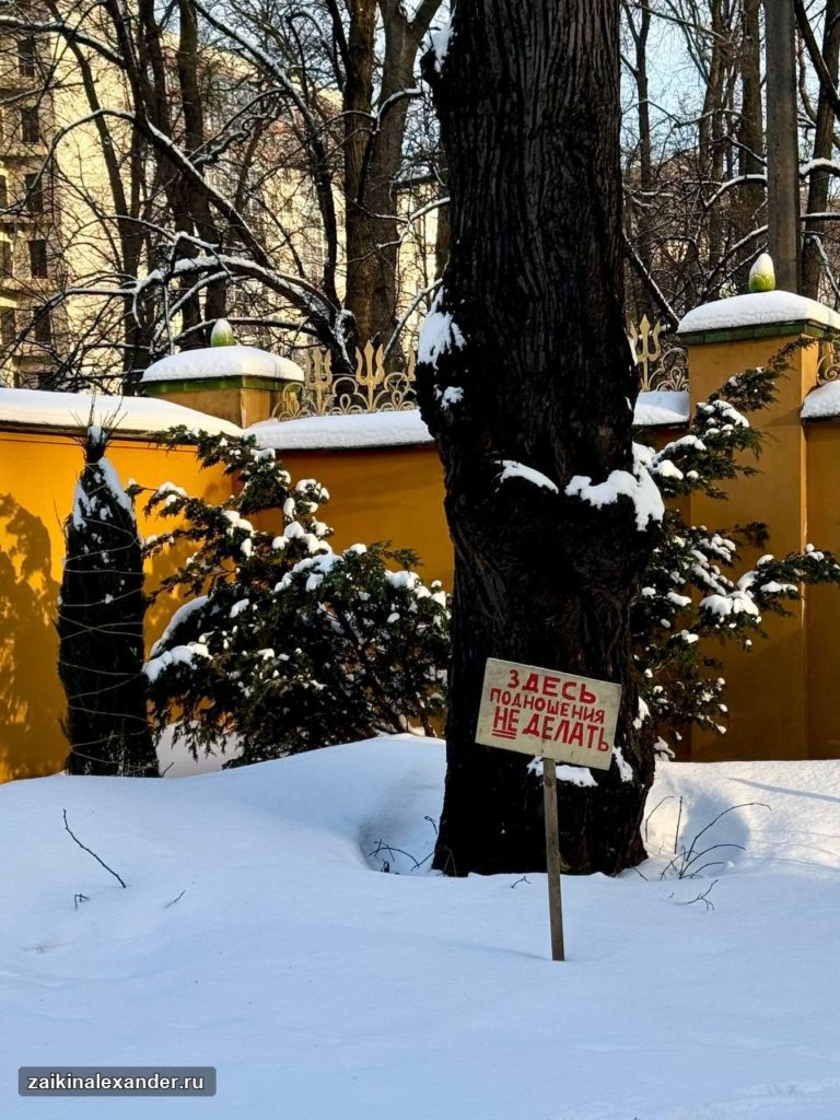 Буддийский храм «Дацан Гунзэчойнэй» в Петербурге — кадр 3