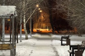 Морозная вечерняя прогулка — кадр 1