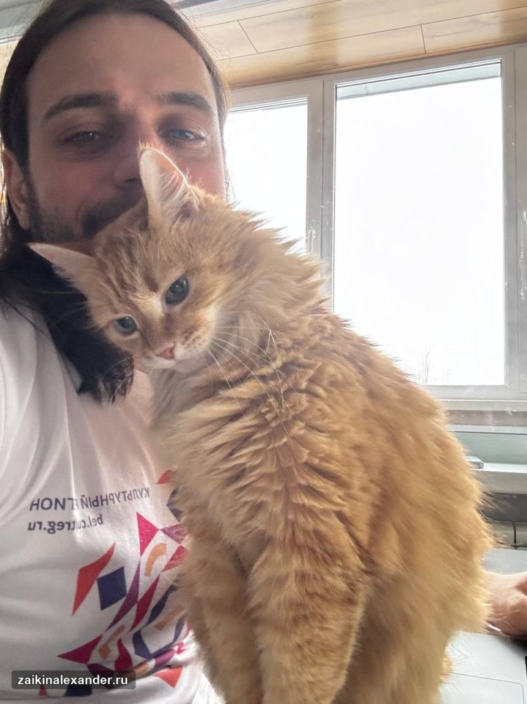Кот на плече во время рабочего дня