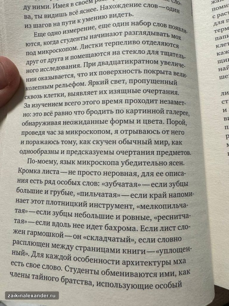 Книга «Жизнь в пограничном слое»