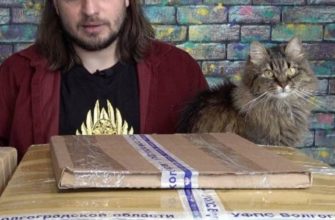 Александр Заикин с котом Профессором