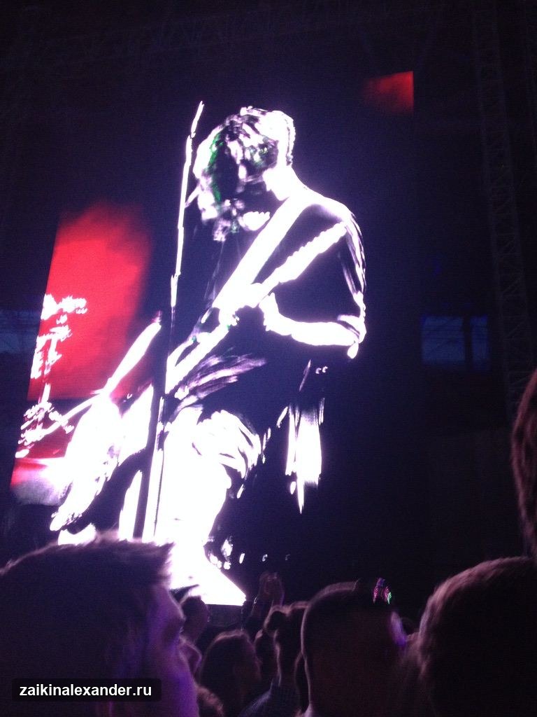 Red Hot Chili Peppers на Park Live 2016 — кадр 2