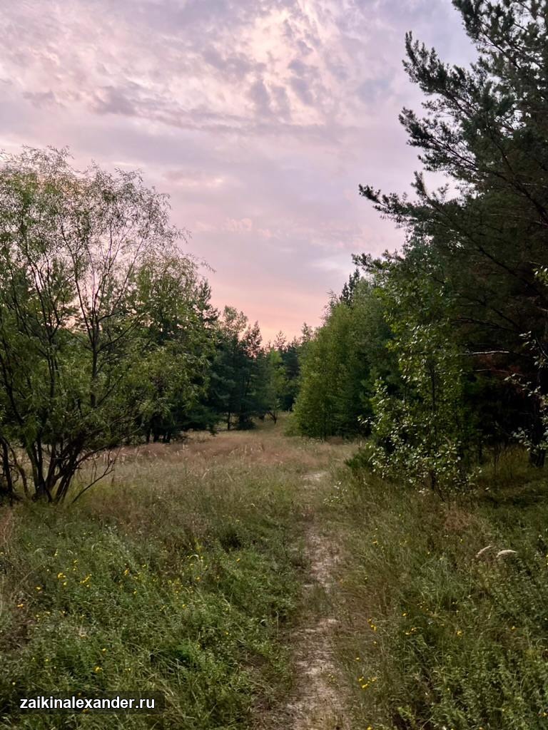 Весенний Белгород — кадр 20