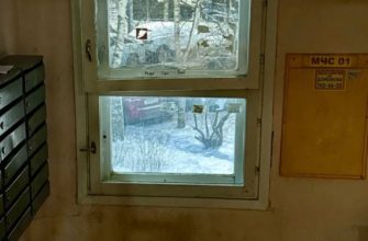 Зима вернулась в Петербург — кадр 1