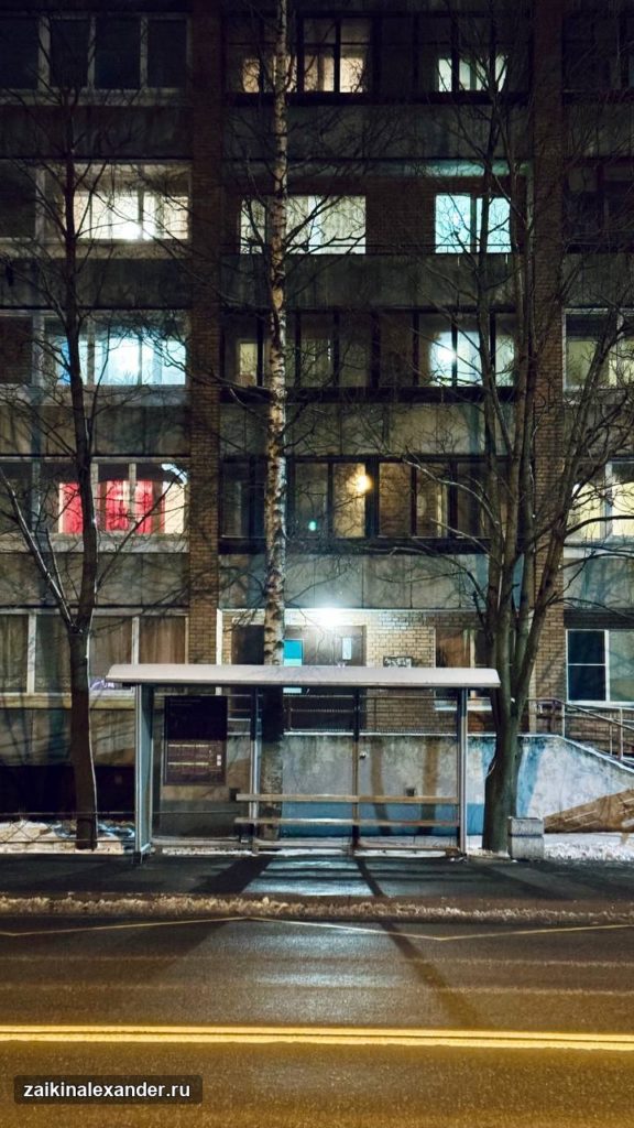 Зима вернулась в Петербург — кадр 7