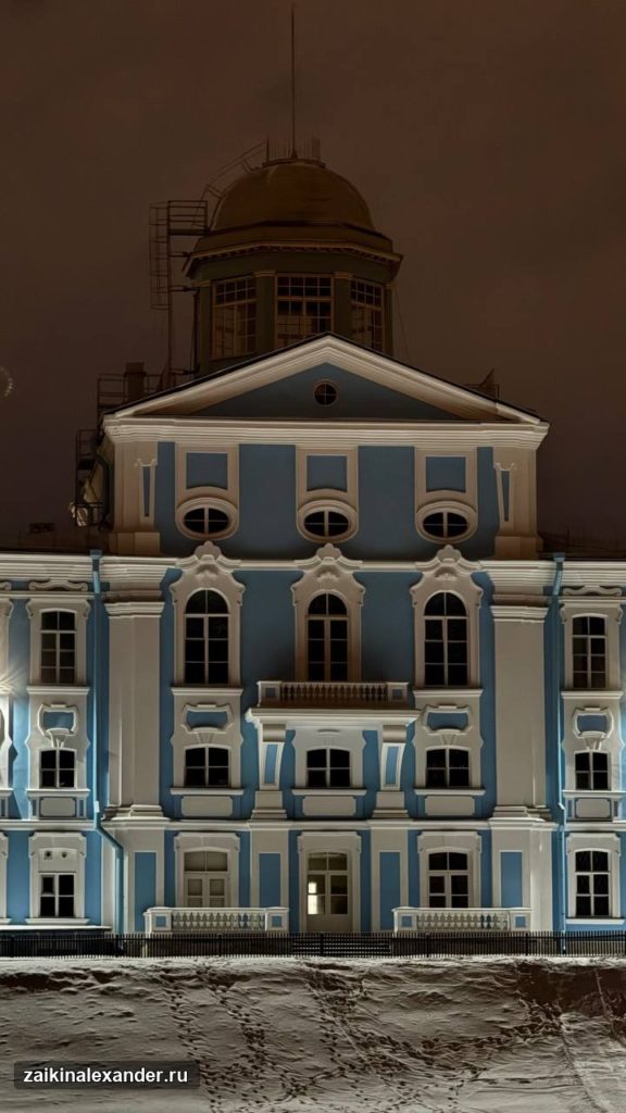 Зима вернулась в Петербург — кадр 8