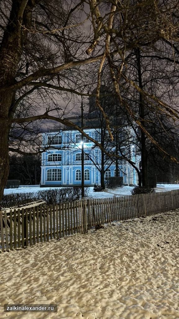 Зима вернулась в Петербург — кадр 10