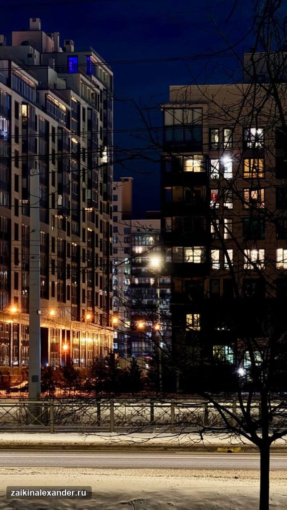 Зима вернулась в Петербург — кадр 11