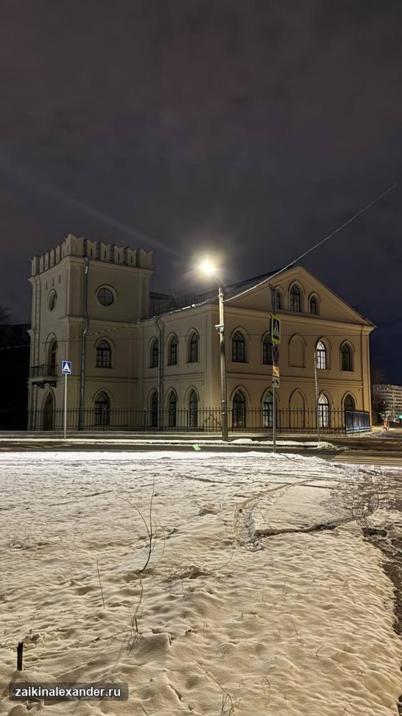 Зима вернулась в Петербург — кадр 16