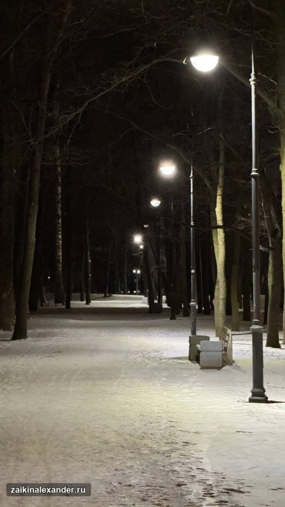 Зима вернулась в Петербург — кадр 19