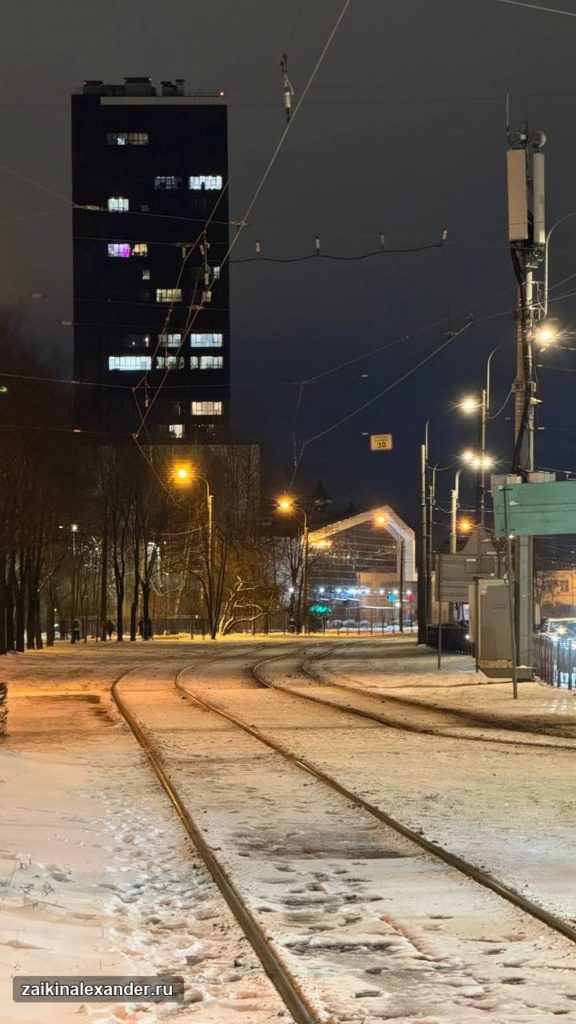 Зима вернулась в Петербург — кадр 22