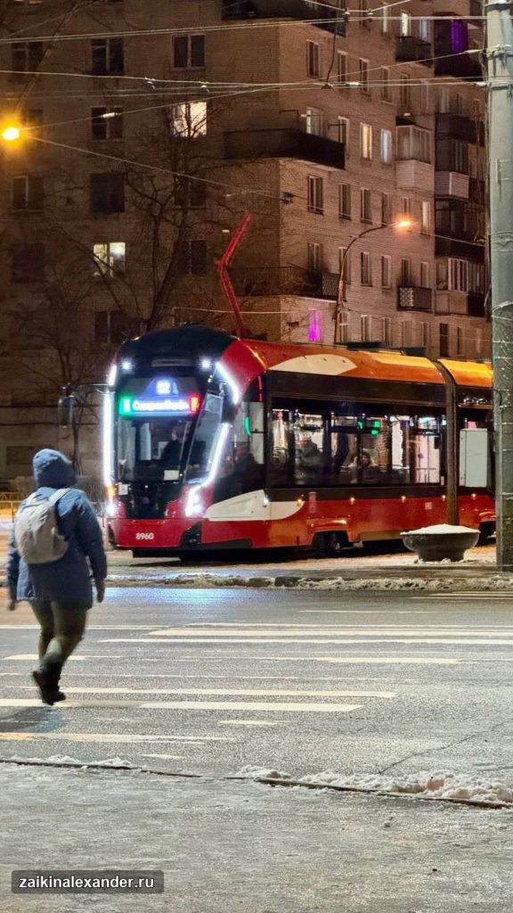 Зима вернулась в Петербург — кадр 23