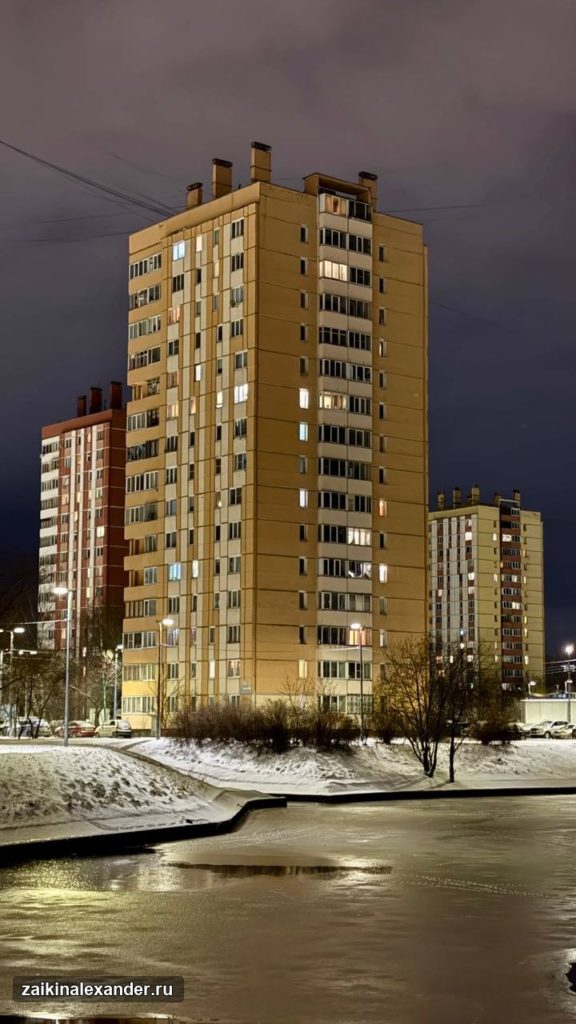 Зима вернулась в Петербург — кадр 25