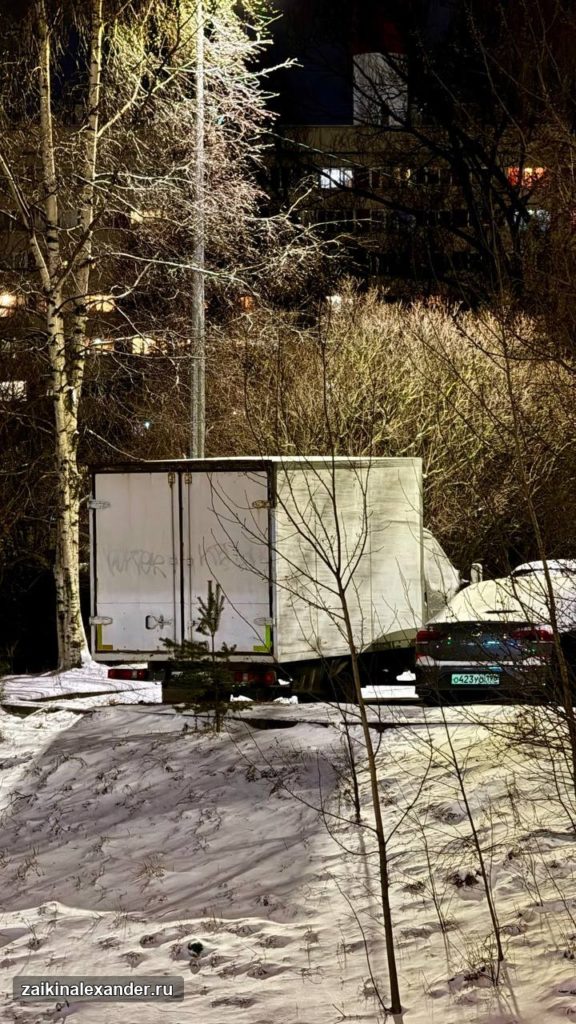 Зима вернулась в Петербург — кадр 26