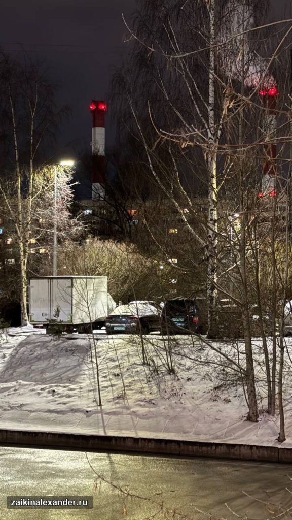 Зима вернулась в Петербург — кадр 27