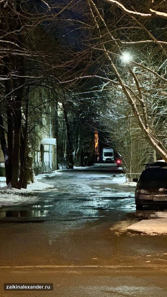 Зима вернулась в Петербург — кадр 30