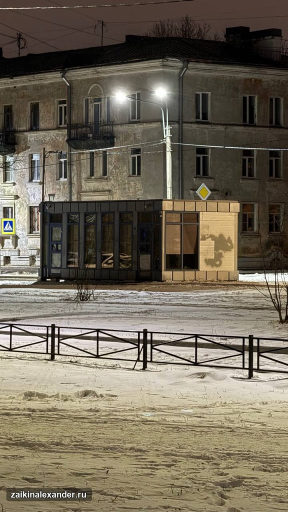 Зима вернулась в Петербург — кадр 33