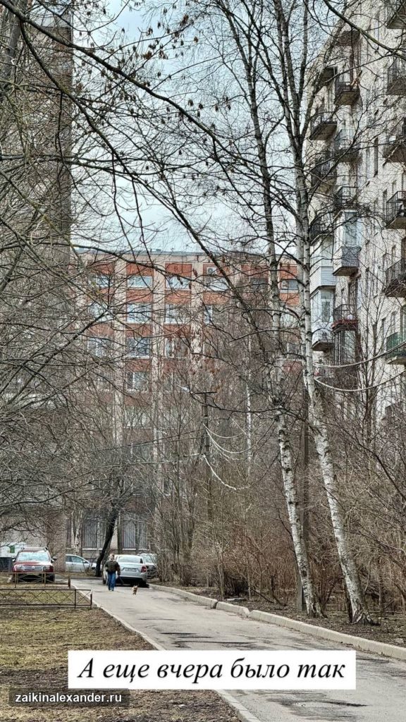 Зима вернулась в Петербург — кадр 40