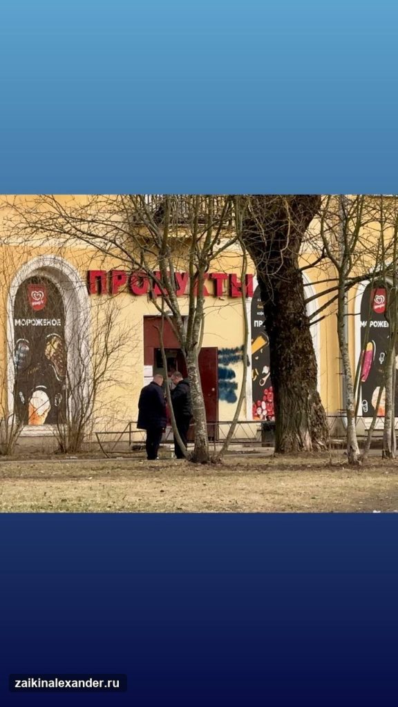 Зима вернулась в Петербург — кадр 45
