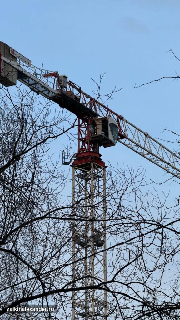 Зима вернулась в Петербург — кадр 46