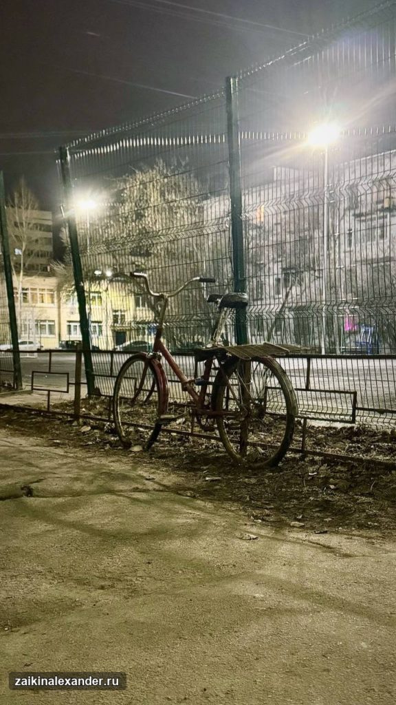 Зима вернулась в Петербург — кадр 49