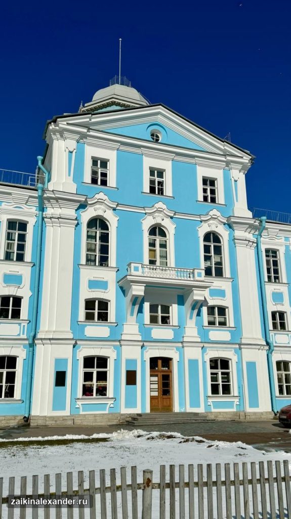 Зима вернулась в Петербург — кадр 52