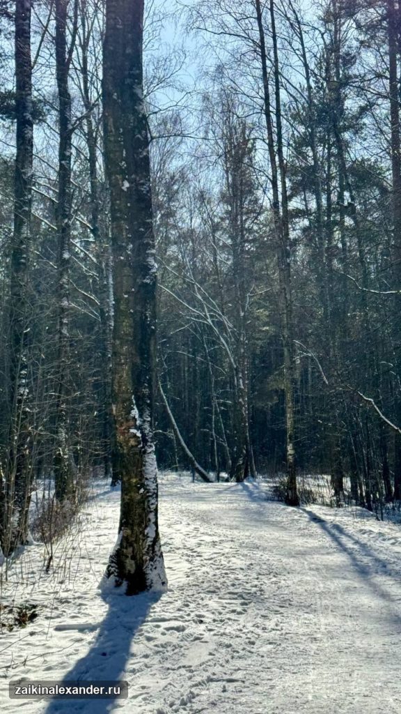 Зима вернулась в Петербург — кадр 53