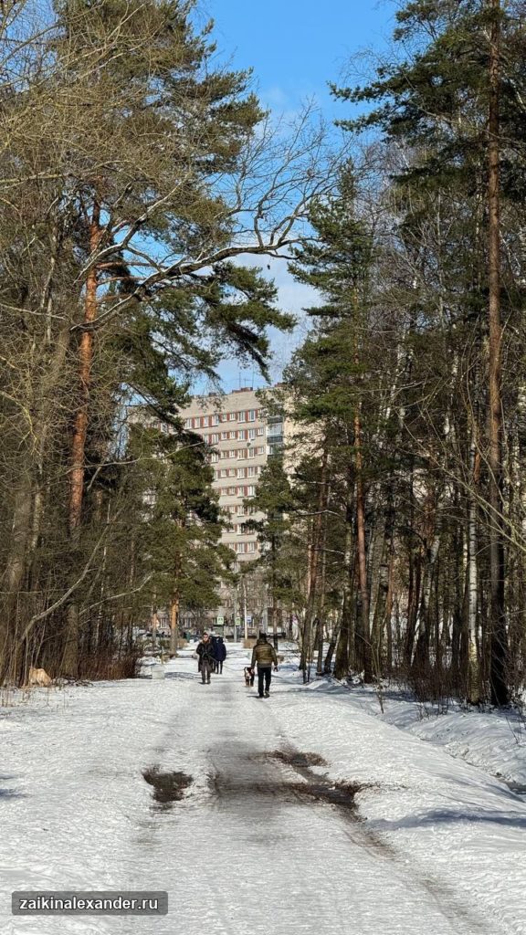 Зима вернулась в Петербург — кадр 54