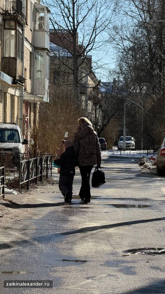 Зима вернулась в Петербург — кадр 56
