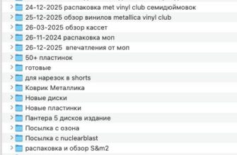 Архивы для меломанского видеоблога — кадр 1