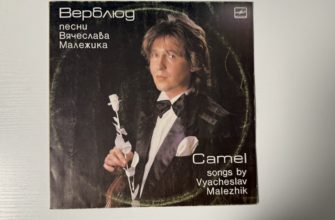 Вячеслав Малежик — Верблюд — обложка