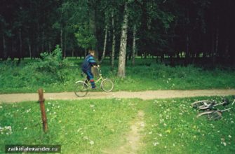 Почему старые фотографии становятся ценнее — кадр 1